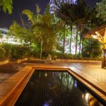 The Wheel of Brisbane reflected in a still water pool at South Bank, surrounded by palm trees and night lights