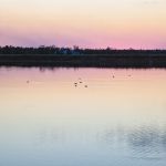 A pastel-hued sunset reflecting over a calm lake with distant birds on the water