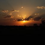Golden sunset with dramatic clouds and silhouetted trees on the horizon