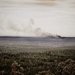 Smoke billows from a distant fire across the coastline, with dense shrubbery in the foreground