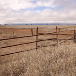 Rusty steel fence in dry golden paddock under expansive cloudy sky, rural Australia