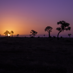 Damien Keffyn Photography